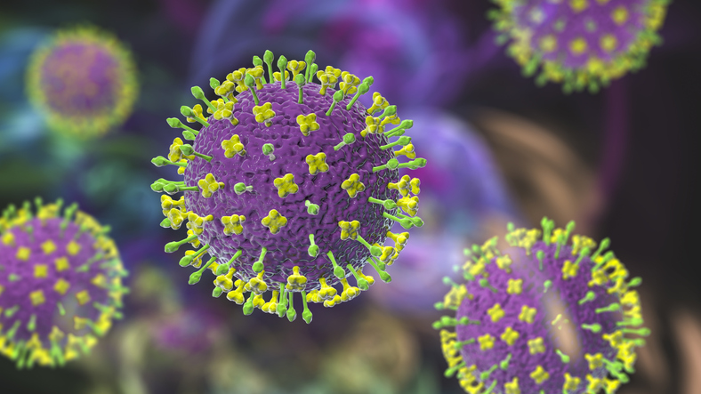 Immune Evasion Uncovered by Virome-Wide Ubiquitin Ligase Discovery
